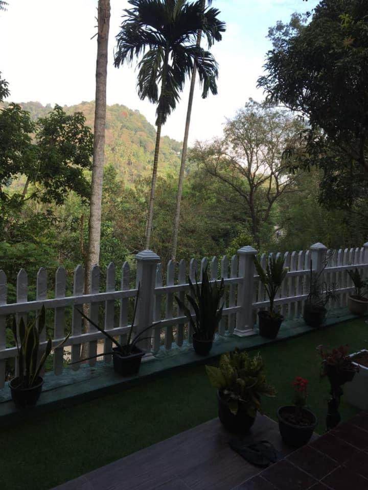 Villa25 Homestay Free Pick Up From The Centre Kandy Esterno foto
