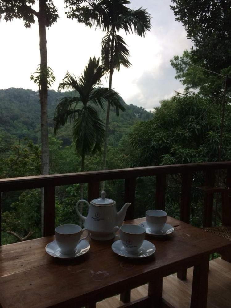 Villa25 Homestay Free Pick Up From The Centre Kandy Esterno foto