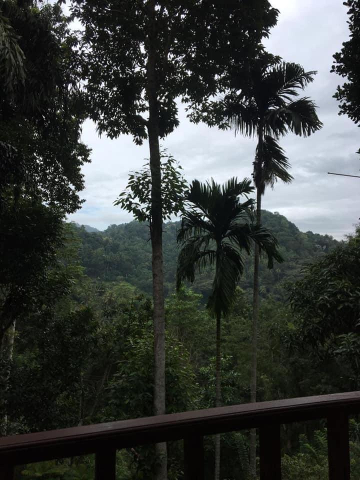 Villa25 Homestay Free Pick Up From The Centre Kandy Esterno foto